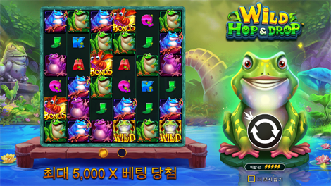 소닉카지노 도메인