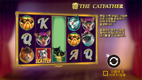 소닉카지노 후기