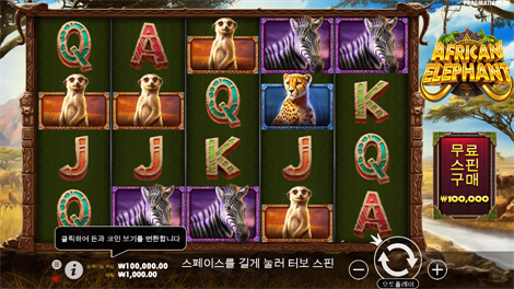 소닉카지노 사이트