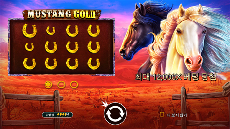 소닉카지노 링크