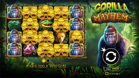 소닉카지노 불법