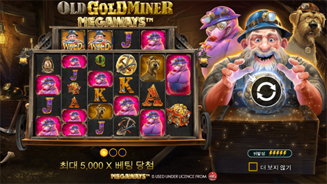 소닉카지노도메인