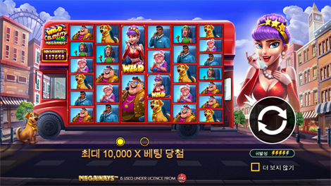 소닉카지노 링크
